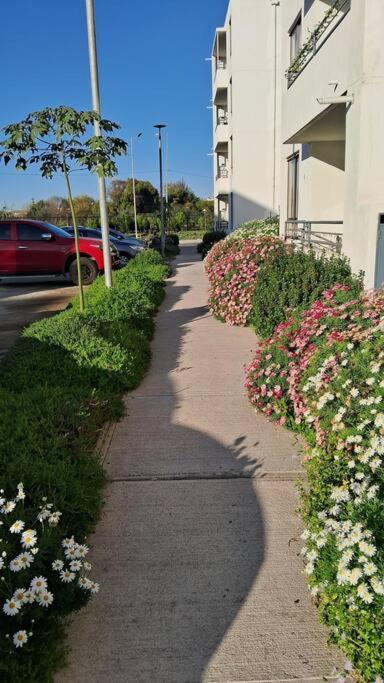 Hermoso Departamento Lugar Tranquilo *